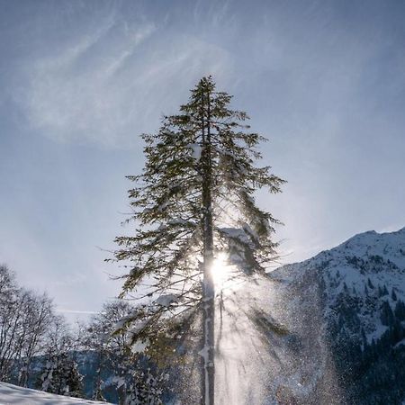 Silber Lodge Im Wiesenstein Auffach Luaran gambar