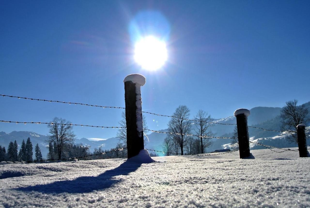 Silber Lodge Im Wiesenstein Auffach Luaran gambar