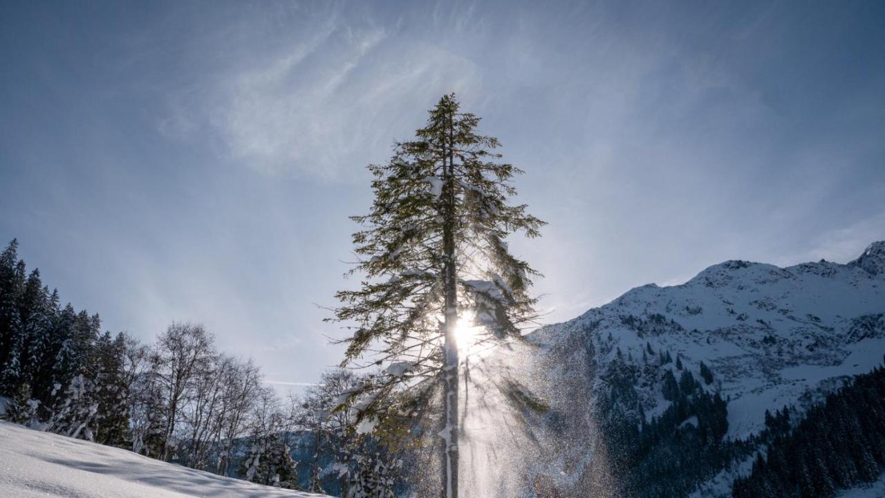 Silber Lodge Im Wiesenstein Auffach Luaran gambar